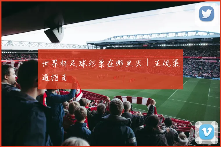 世界杯足球彩票在哪里买｜正规渠道指南