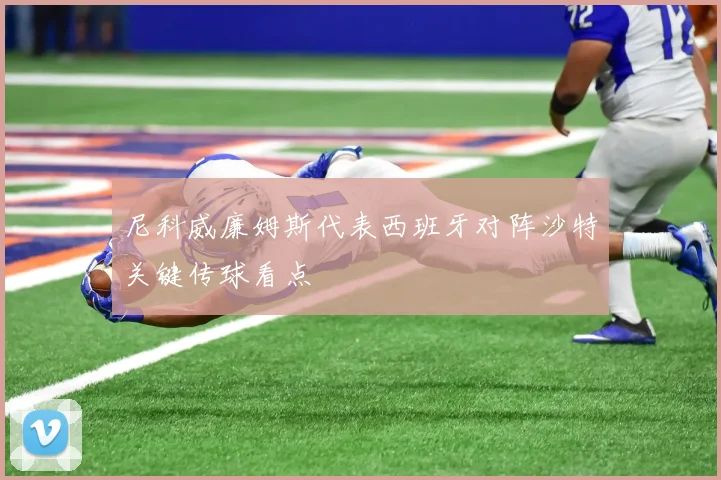 尼科威廉姆斯代表西班牙对阵沙特关键传球看点