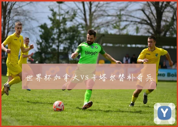 世界杯加拿大vs卡塔尔替补奇兵