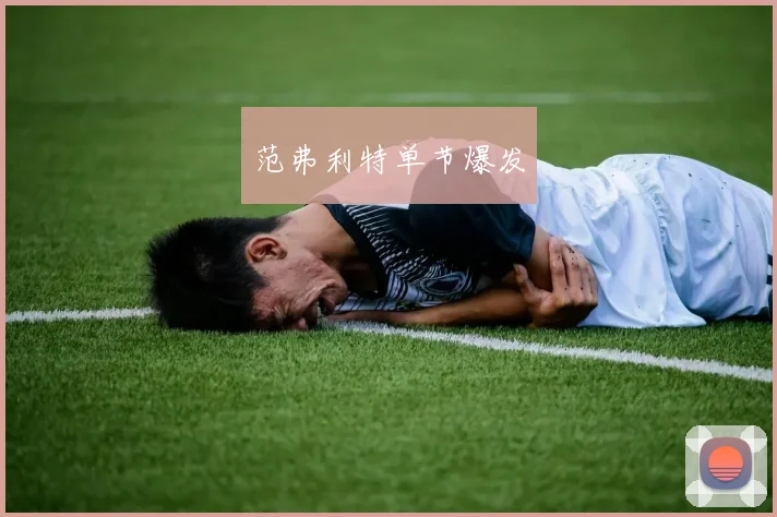 范弗利特单节爆发