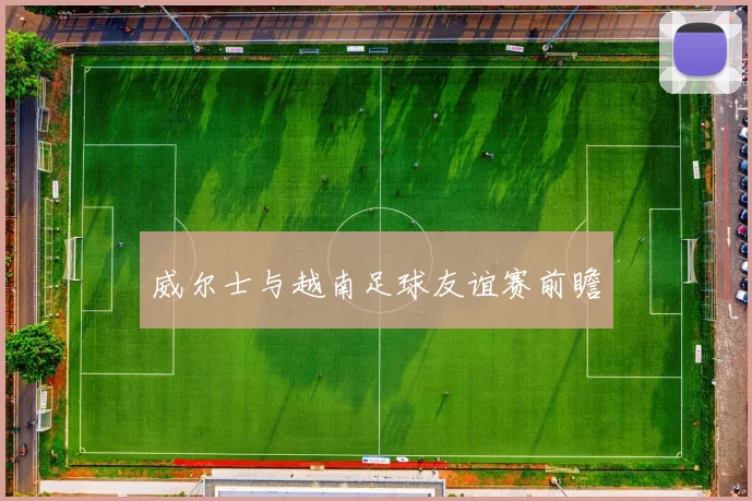 威尔士与越南足球友谊赛前瞻