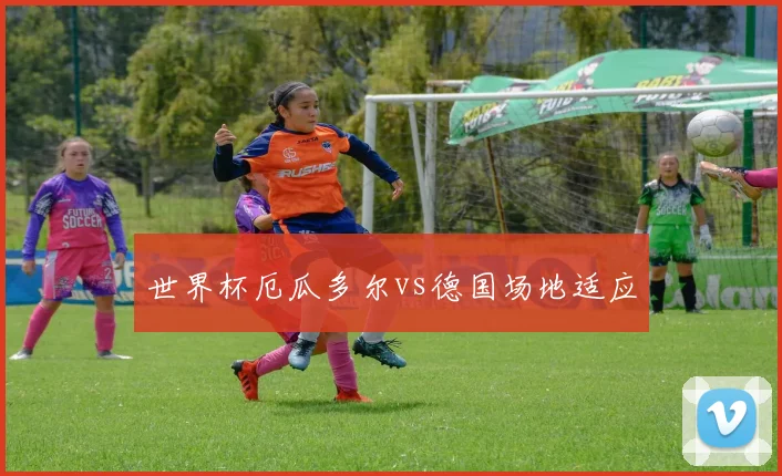 世界杯厄瓜多尔vs德国场地适应