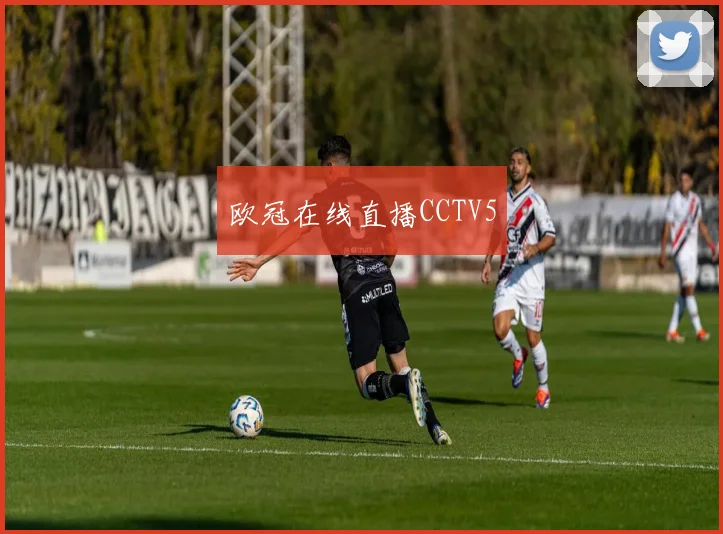 欧冠在线直播CCTV5