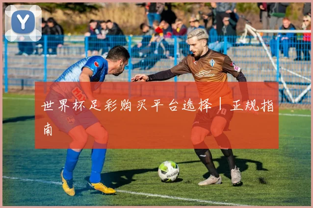 世界杯足彩购买平台选择｜正规指南